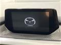 2015 Mazda Atenza Wagon