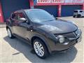 2011 Nissan Juke