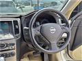 2010 Nissan Skyline