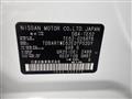 2011 Nissan Elgrand