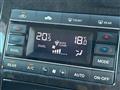 2010 Nissan Elgrand