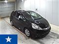 2014 Honda Fit shuttle
