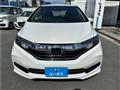 2019 Honda Shuttle