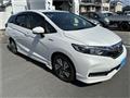 2019 Honda Shuttle
