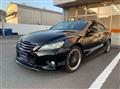 2009 Toyota Mark X
