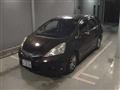 2011 Honda Fit shuttle