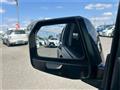 2007 Honda Crossroad