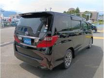 2010 Toyota Alphard