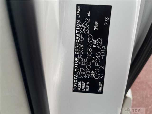 2009 Toyota Estima