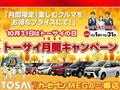 2015 Toyota Corolla Fielder
