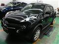 2011 Nissan Juke