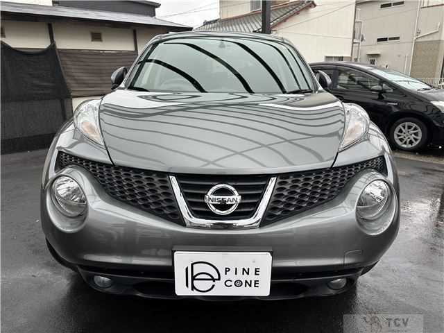 2011 Nissan Juke