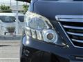 2013 Toyota Alphard