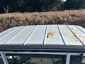 1998 Suzuki Carry Truck