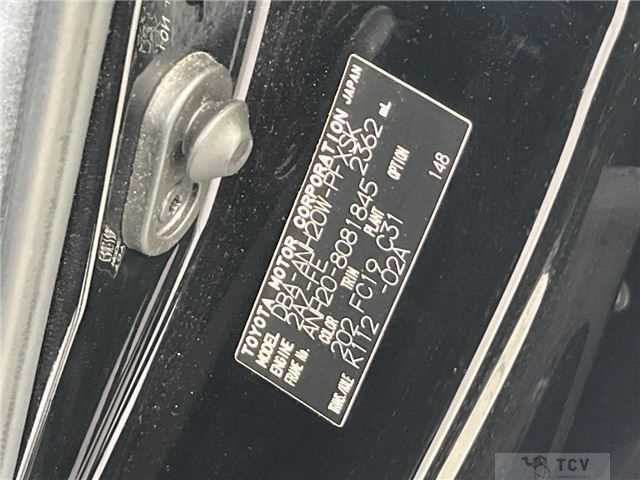 2009 Toyota Alphard