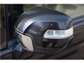 2010 Honda Step WGN