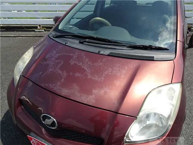 2010 Toyota Vitz