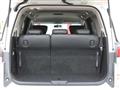 2010 Nissan Elgrand