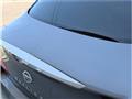 2010 Nissan Skyline