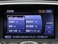 2010 Nissan Skyline
