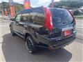 2013 Nissan X-Trail