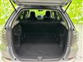 2013 Honda Fit shuttle