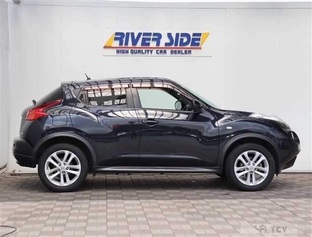 2010 Nissan Juke