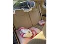 2009 Honda Odyssey