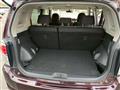 2010 Toyota Corolla Rumion