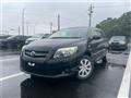 2011 Toyota Corolla Fielder