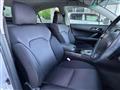 2007 Toyota Mark X