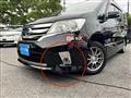2011 Nissan Serena