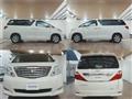 2010 Toyota Alphard