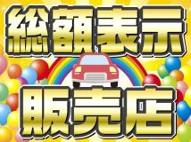 2010 Toyota Estima