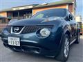 2012 Nissan Juke