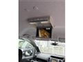 2009 Honda Step WGN