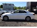 2013 Toyota Mark X