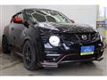 2013 Nissan Juke