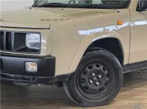 1995 Nissan Rasheen