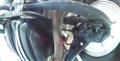 1999 Honda Civic