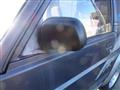 1995 Daihatsu Rocky