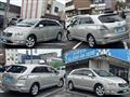 2007 Toyota Mark X Zio