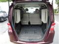 2009 Honda Freed