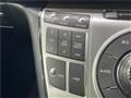 2010 Honda Elysion