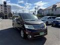 2009 Nissan Serena