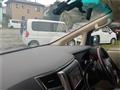 2009 Toyota Alphard