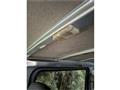 2009 Nissan Caravan