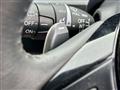 2010 Honda Step WGN