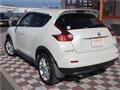 2010 Nissan Juke