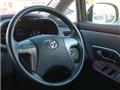 2009 Toyota Mark X Zio